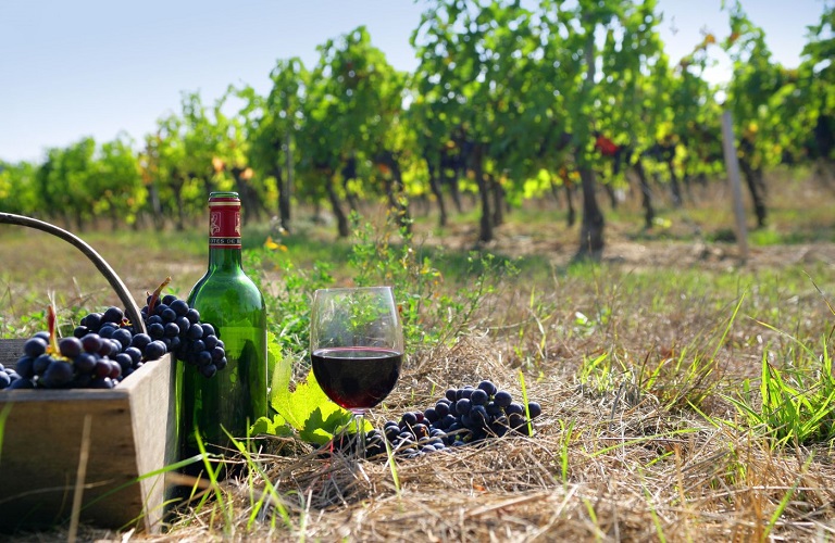 Κατ’ εξαίρεση διευρύνεται η ποσότητα σταφυλιών για την παραγωγή κρασιού ιδιωτικής κατανάλωσης