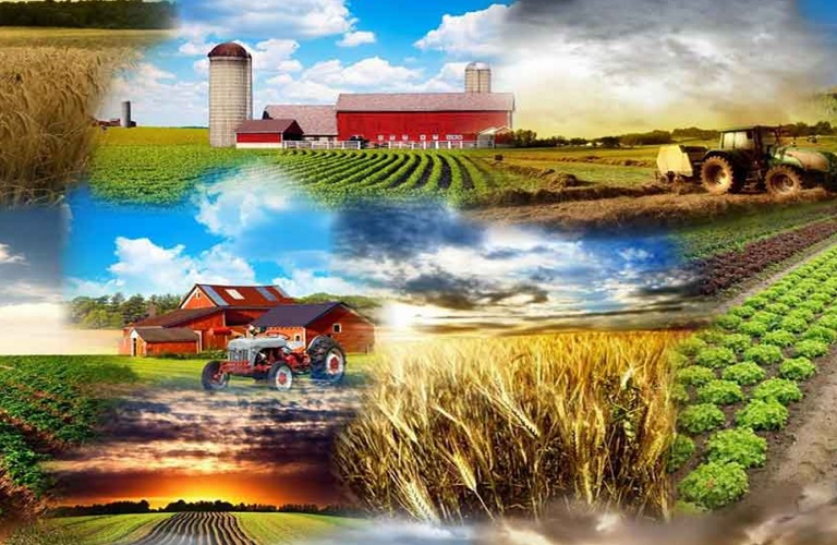Εκπαίδευση στις νέες τεχνολογίες στη γεωργική παραγωγή